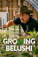 Watch Growing Belushi Movie4k