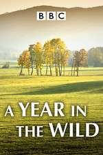 Watch A Year in the Wild Movie4k