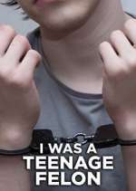 Watch I Was a Teenage Felon Movie4k