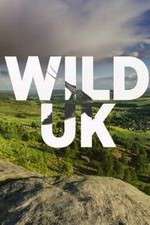 Watch Wild UK Movie4k