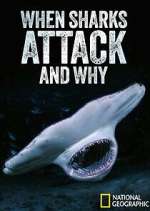 Watch When Sharks Attack... And Why Movie4k