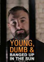 Watch Young Dumb & Banged Up in the Sun Movie4k