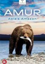 Watch Amur Asia's Amazon Movie4k