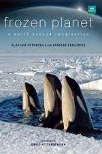 Watch Frozen Planet Movie4k