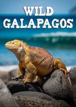 Watch Wild Galapagos Movie4k