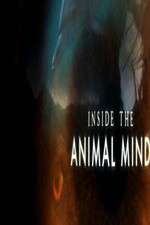 Watch Inside the Animal Mind Movie4k