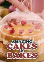 Watch Amazing Cakes & Bakes Movie4k