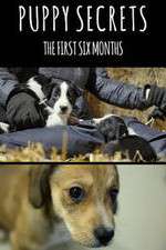 Watch Puppy Secrets: The First Six Months Movie4k