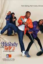 Watch Brandy and Ray J: A Family Business Movie4k
