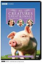 Watch All Creatures Great and Small Movie4k