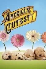 Watch America's Cutest Movie4k