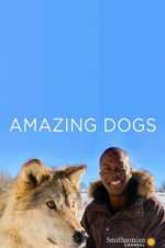 Watch Amazing Dogs Movie4k