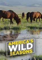 Watch America's Wild Seasons Movie4k