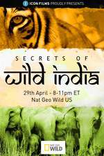 Watch Secrets of Wild India Movie4k