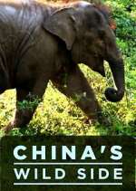 Watch China's Wild Side Movie4k