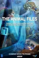 Watch The Animal Files Movie4k