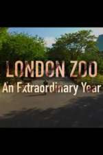 Watch London Zoo: An Extraordinary Year Movie4k