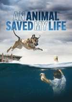 Watch An Animal Saved My Life Movie4k