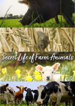 Watch Secret Life of Farm Animals Movie4k