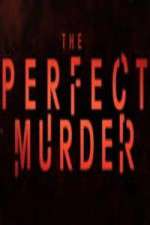 Watch The Perfect Murder Movie4k