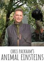 Watch Chris Packham's Animal Einsteins Movie4k