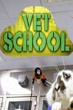Watch Vet School Movie4k