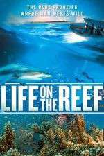 Watch Life on the Reef Movie4k