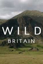 Watch Wild Britain Movie4k