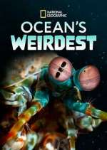 Watch Ocean's Weirdest Movie4k