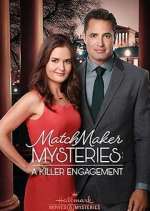 Watch The Matchmaker Mysteries Movie4k