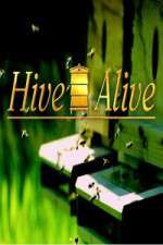 Watch Hive Alive Movie4k