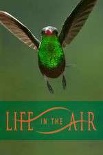 Watch Life in the Air Movie4k