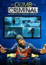Watch So Dumb It's Criminal Movie4k