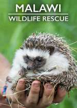 Watch Malawi Wildlife Rescue Movie4k