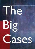 Watch The Big Cases Movie4k