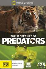 Watch Secret Life of Predators Movie4k