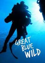 Watch Great Blue Wild Movie4k