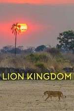 Watch Lion Kingdom Movie4k