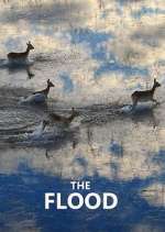 Watch The Flood Movie4k