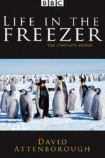 Watch Life in the Freezer Movie4k