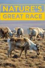 Watch Nature's Great Race Movie4k