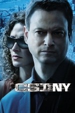 Watch CSI: NY / New York Movie4k