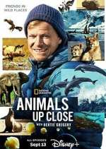 Watch Animals Up Close with Bertie Gregory Movie4k