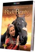 Watch The New Adventures of Black Beauty Movie4k