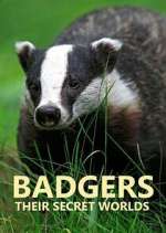 Watch Badgers: Their Secret Worlds Movie4k