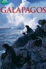 Watch Galapagos Movie4k