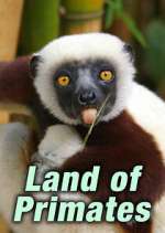 Watch Land of Primates Movie4k