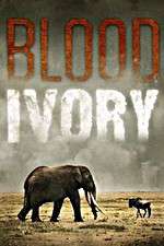 Watch Blood Ivory Movie4k