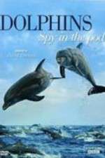 Watch Dolphins: Spy in the Pod Movie4k