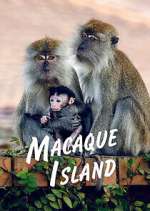 Watch Macaque Island Movie4k